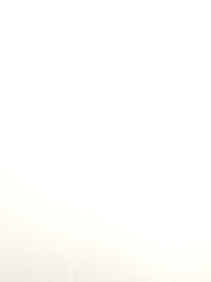 02345 – Pearl