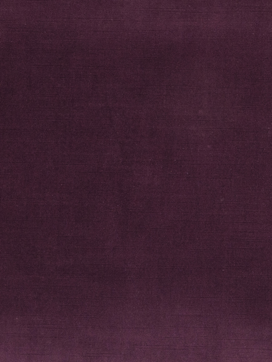 02338 – Eggplant