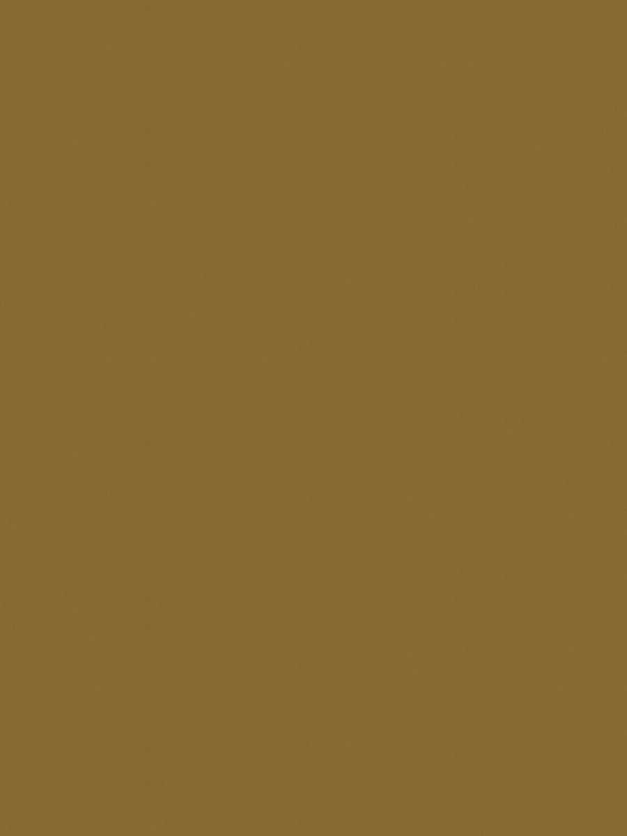 02022 – Antelope