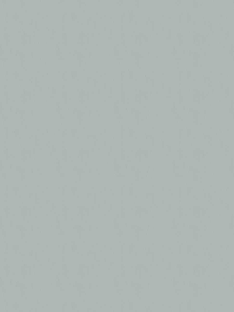 02022 – Silver