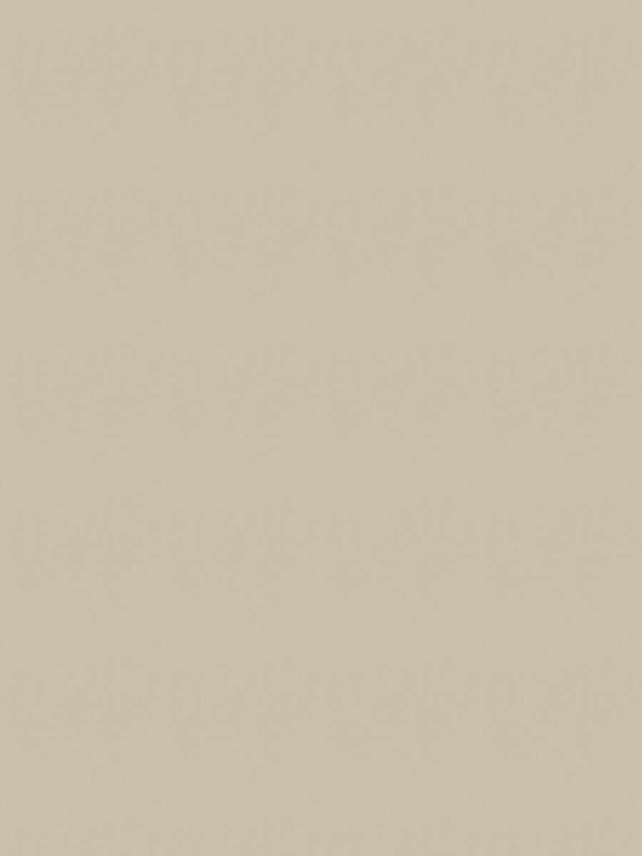 02022 – Oyster