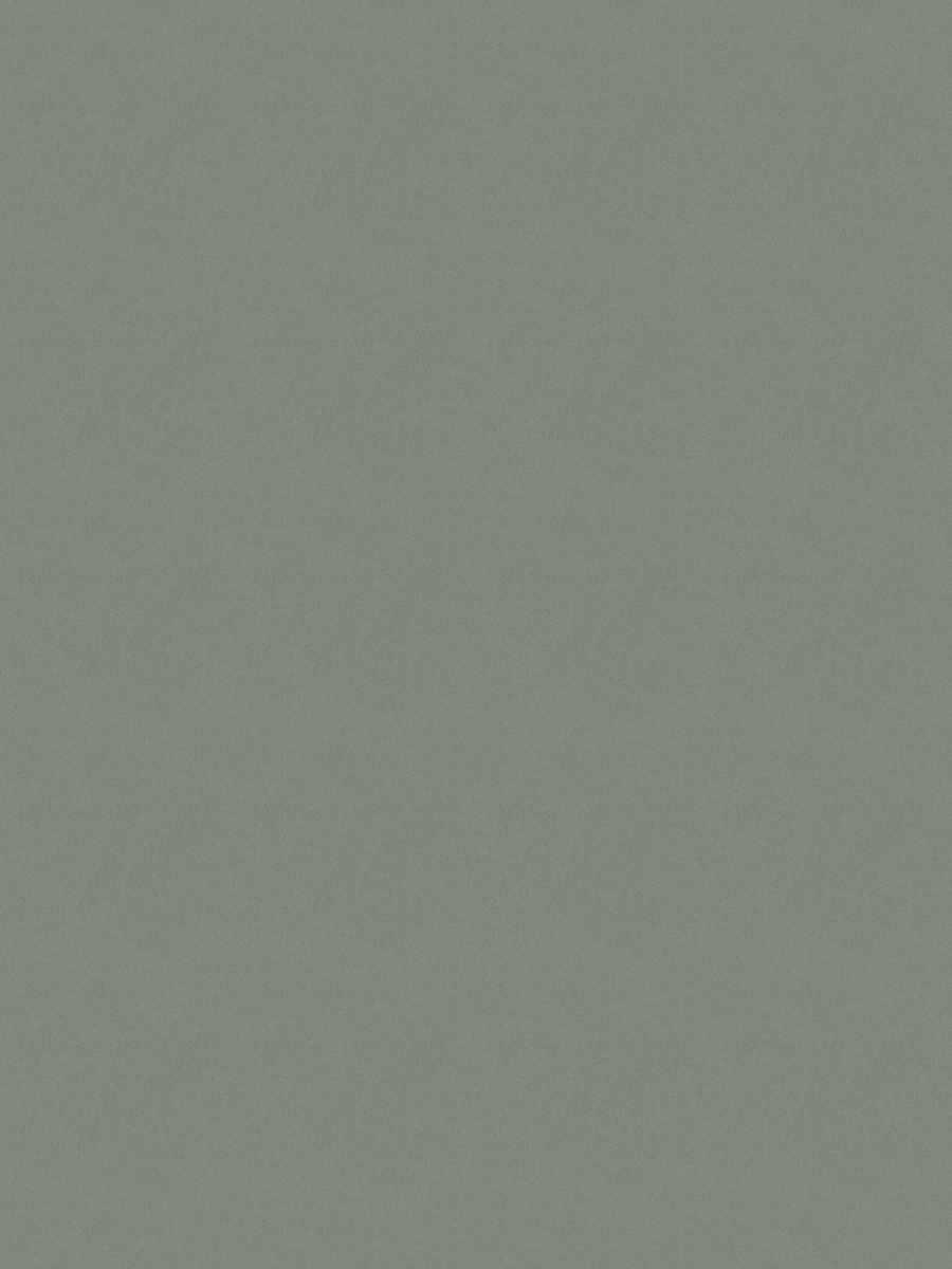 02022 – Platinum