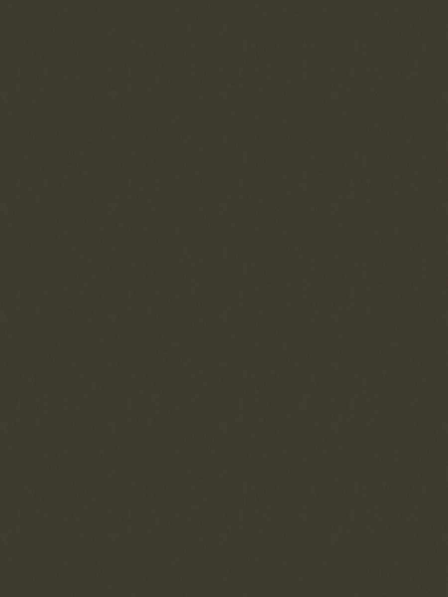 02022 – Bronze
