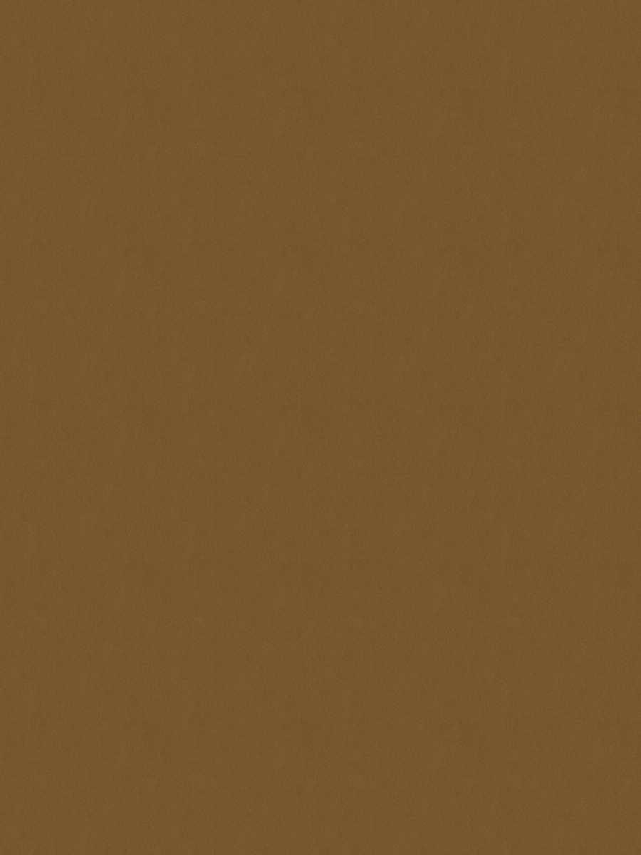 02022 – Nutmeg