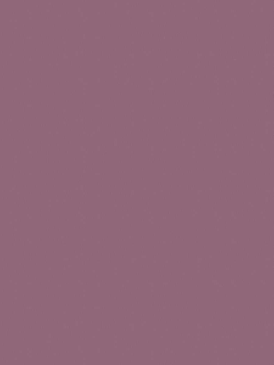 02022 – Orchid