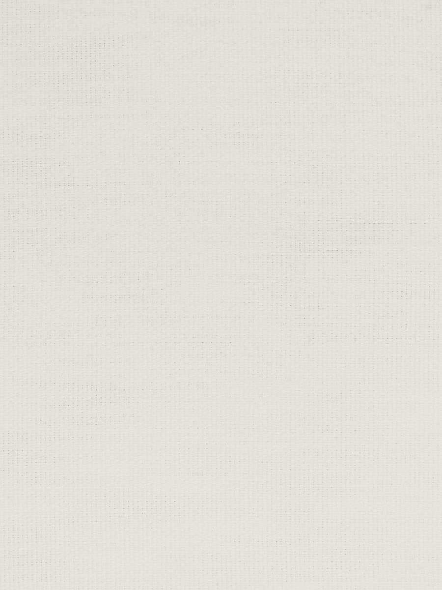 Pollux – White