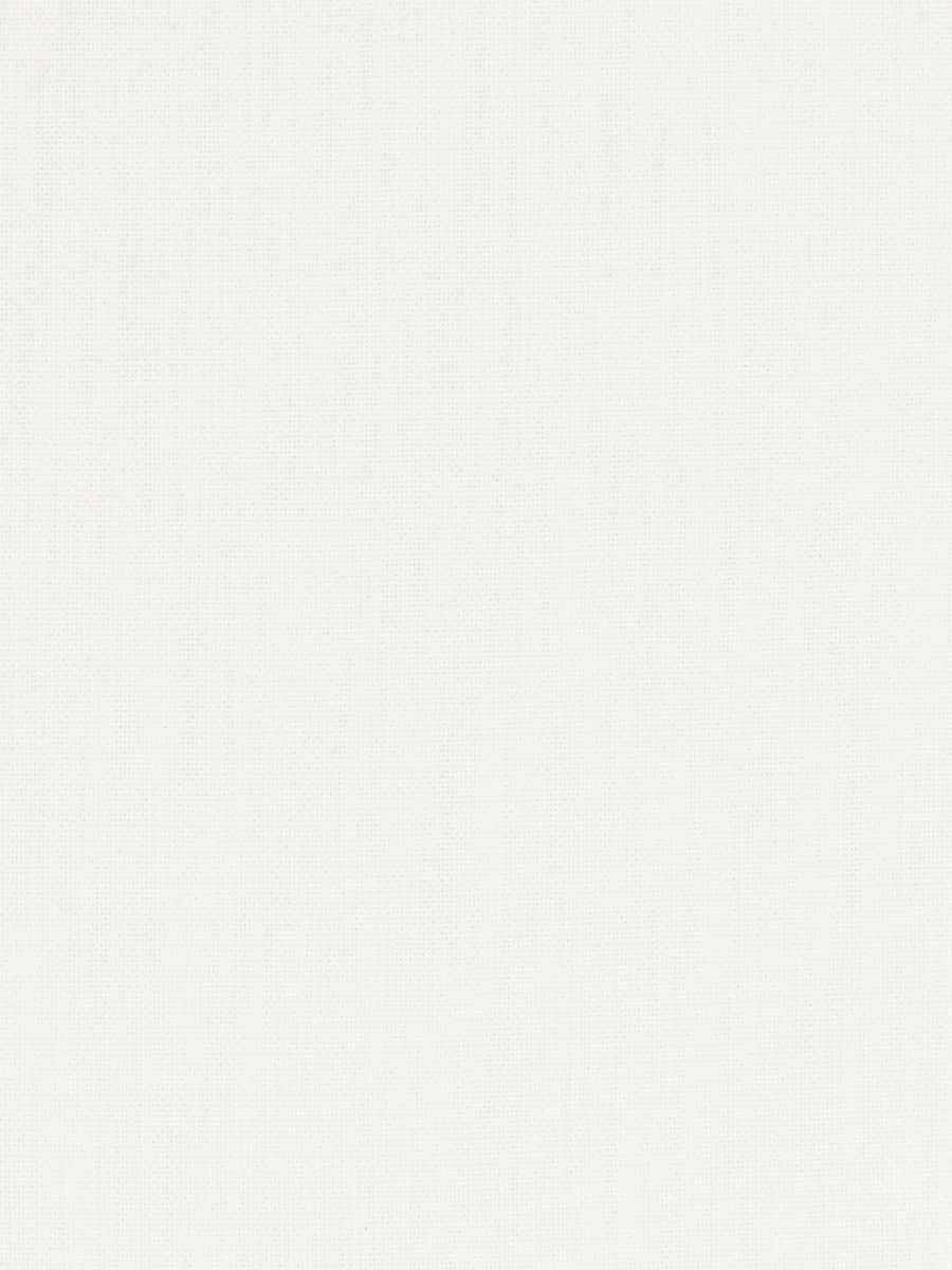 Avior – White