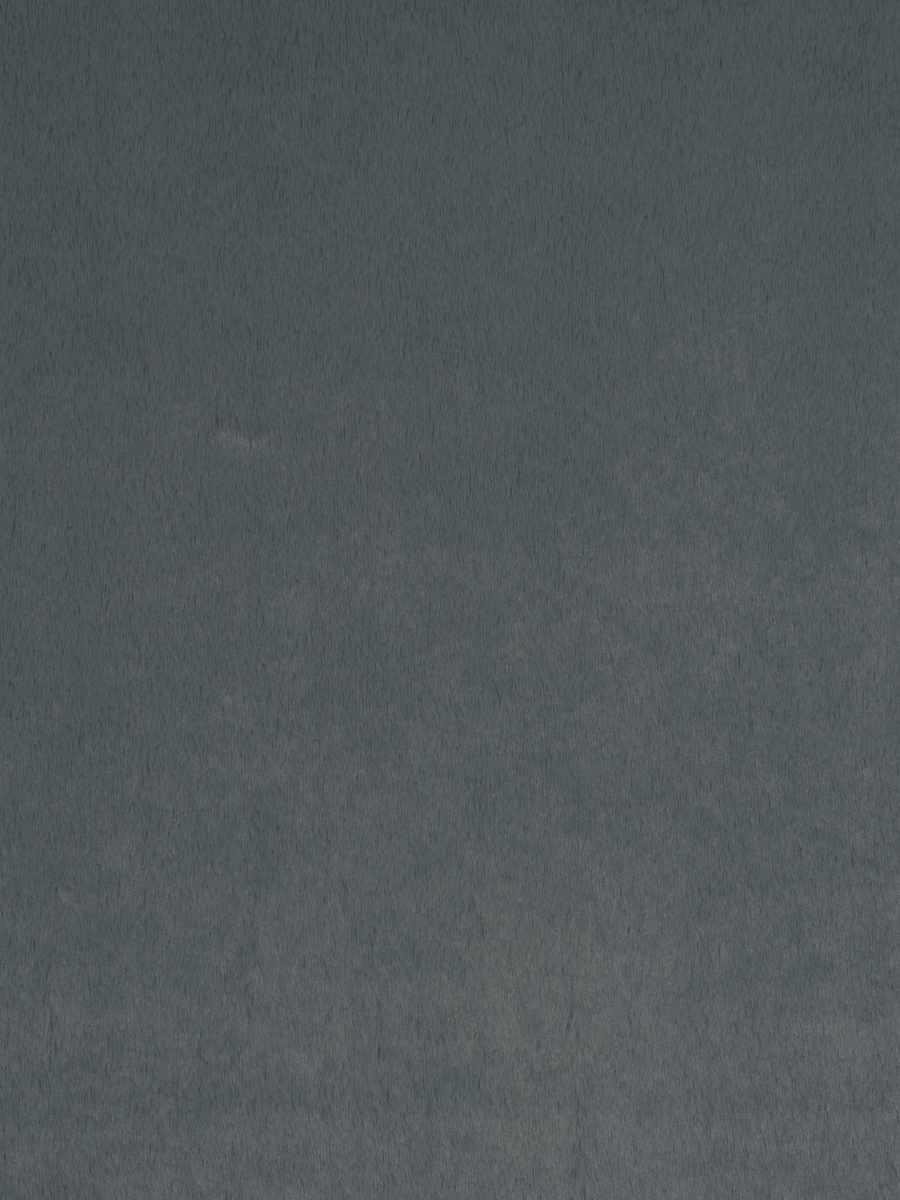 Dame Jane – Nickel