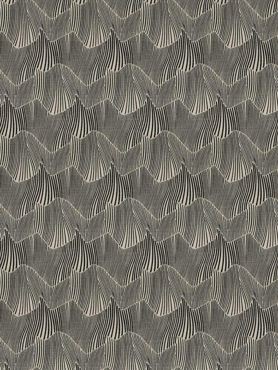 Parallel Field – Carbon