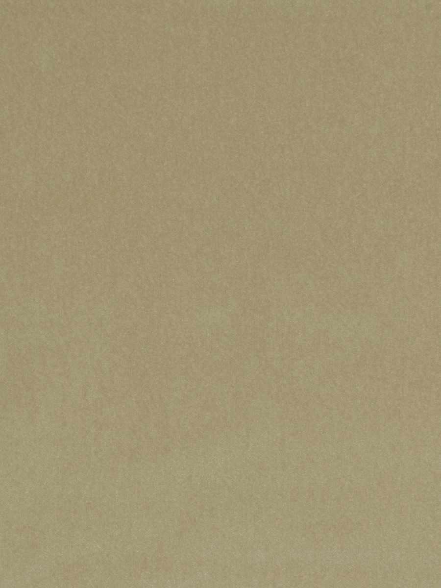 Foreign Affair – Beige Ivory