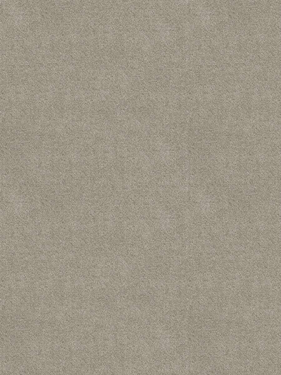 Perfect Silk Velvet – Camel