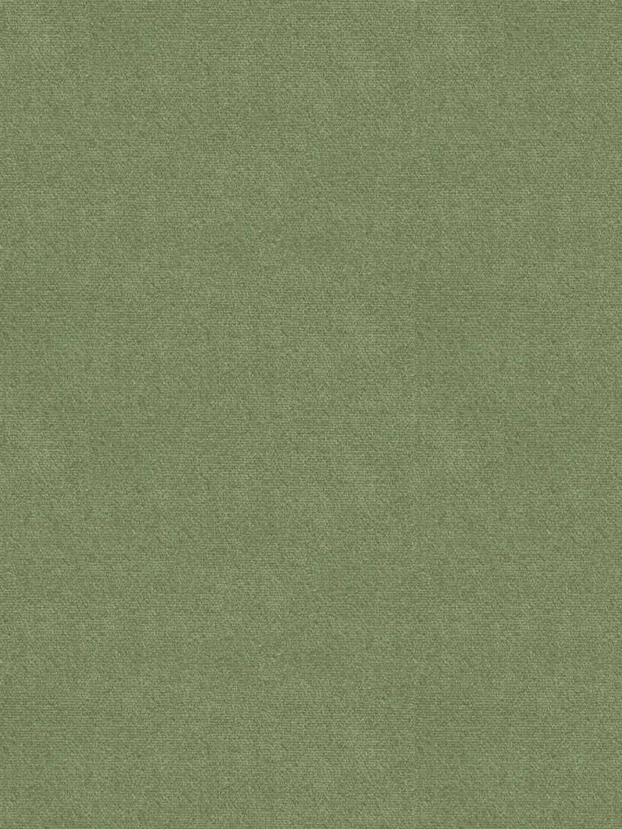 Perfect Silk Velvet – Kiwi