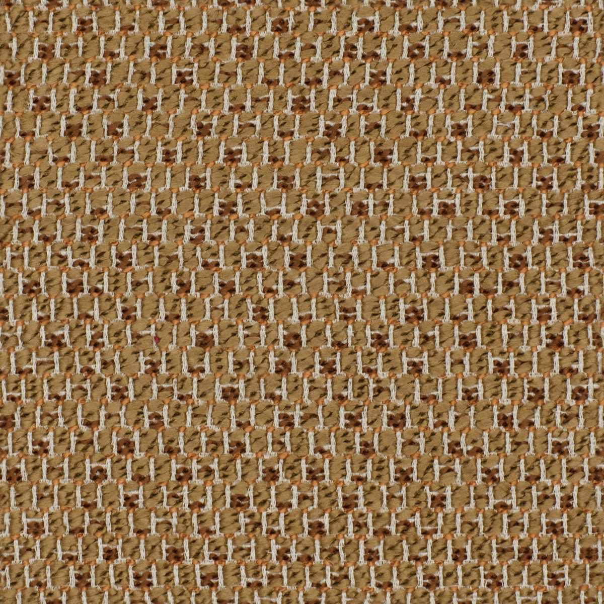 Foundation – Apricot