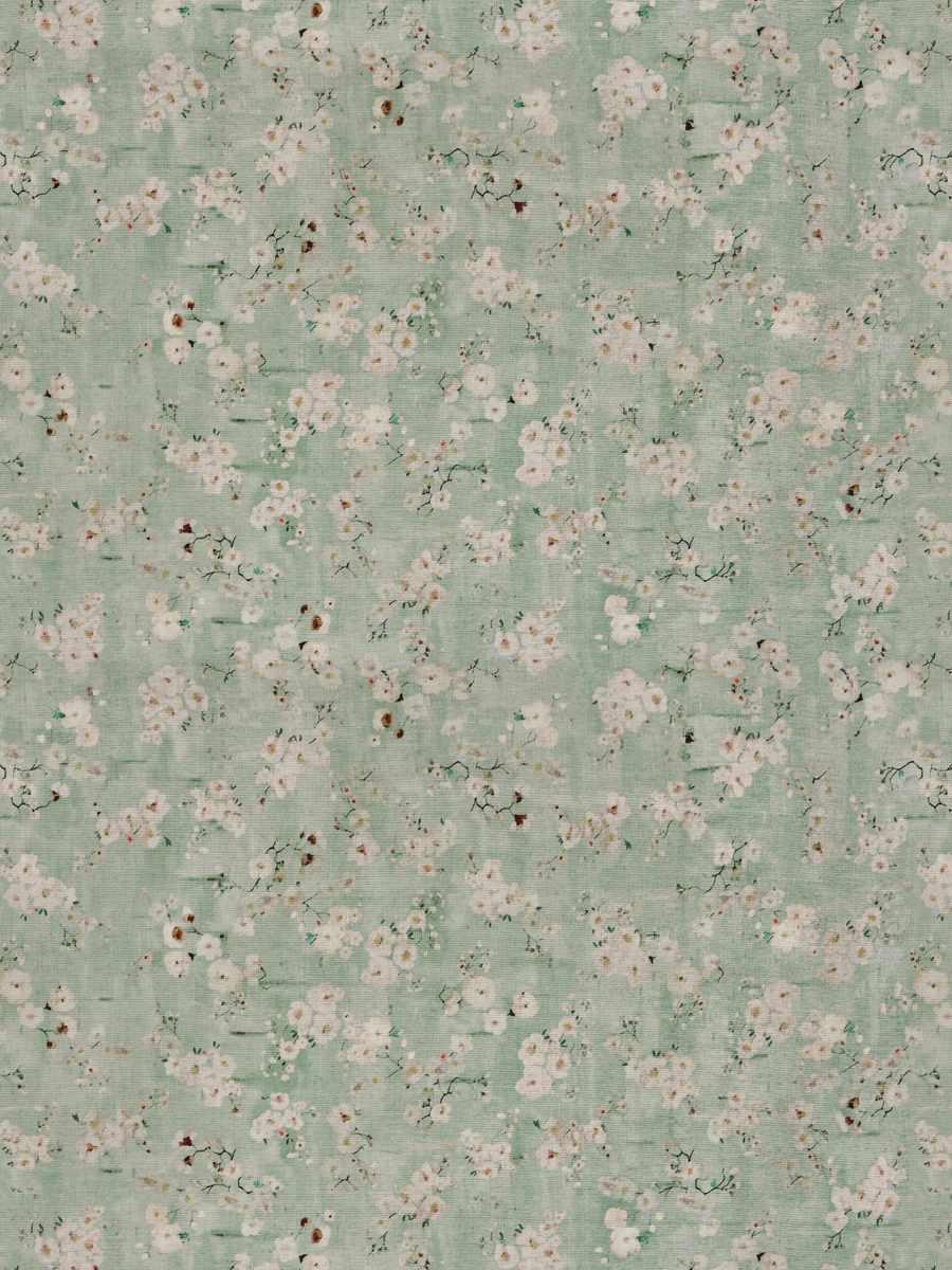 Okame – Mint