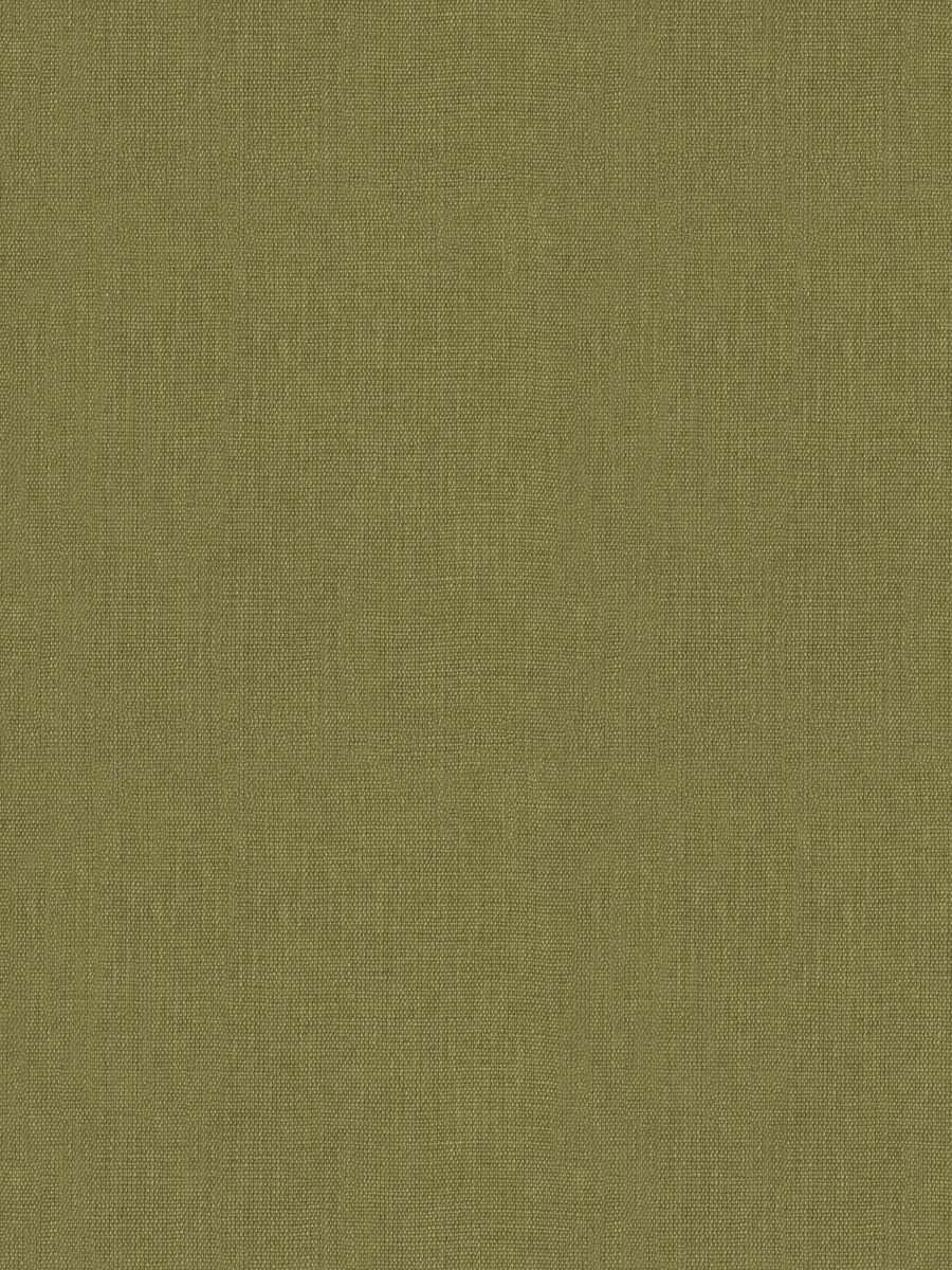 Avec Bambou – Pine