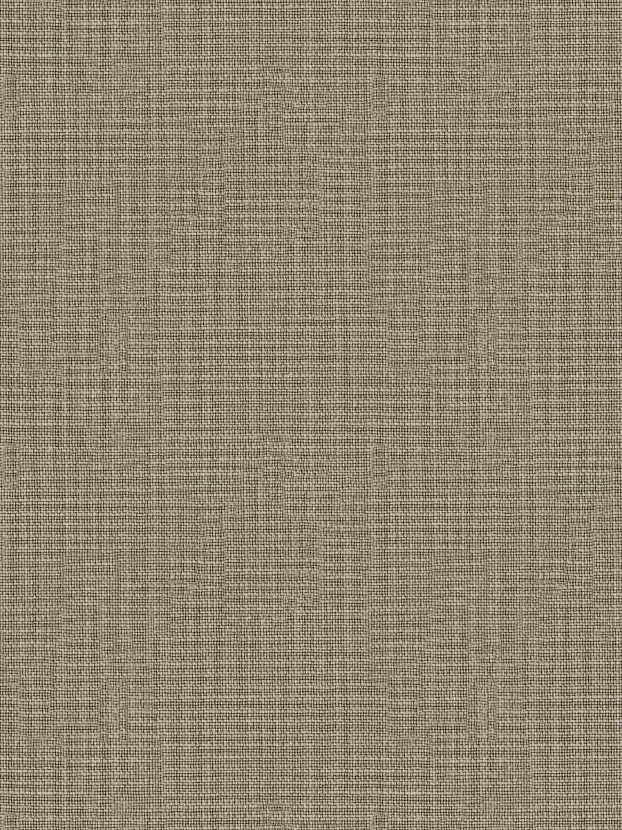 Kb Siobhan – Froth