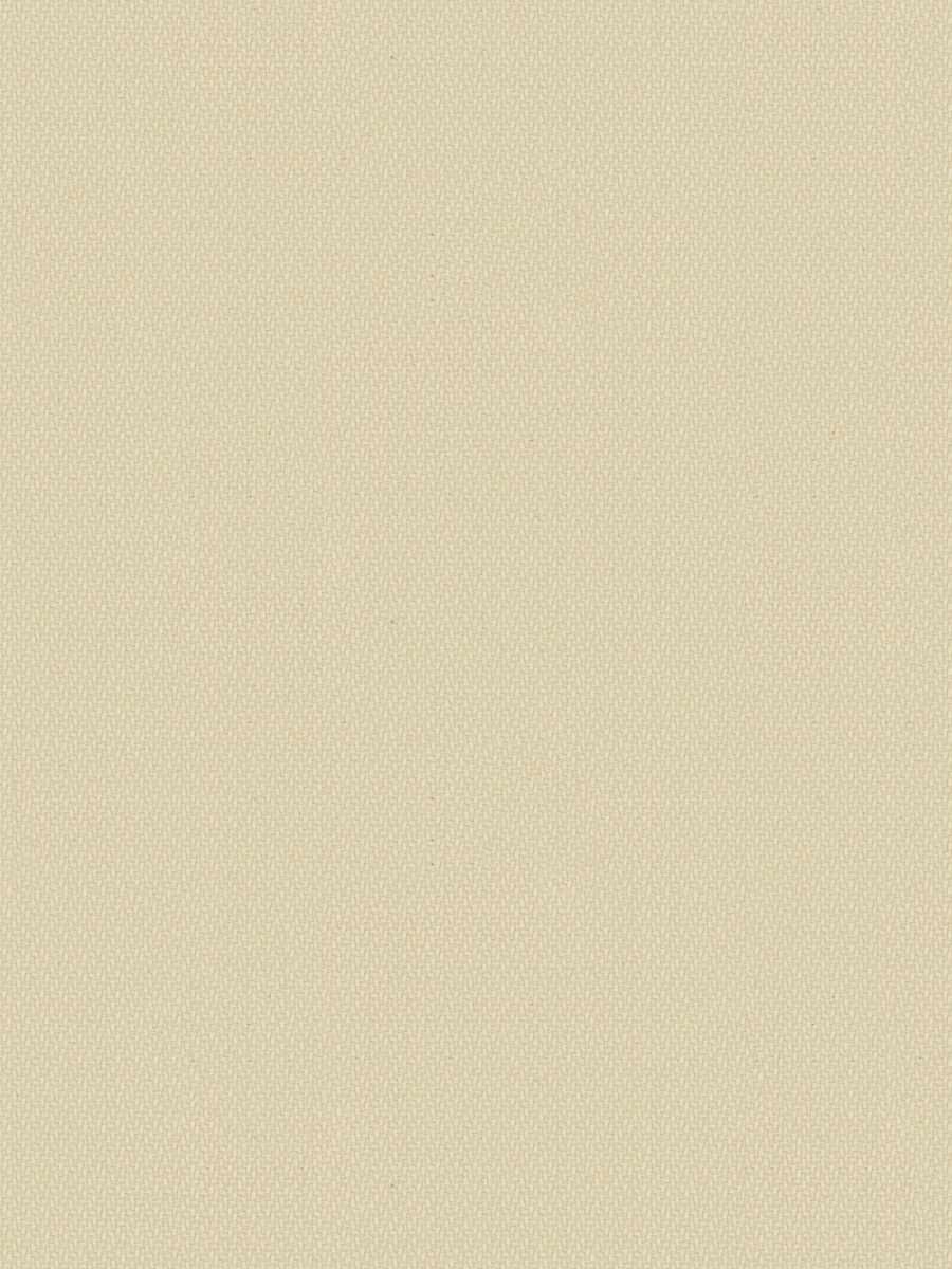 Kb Zaccai – Cream