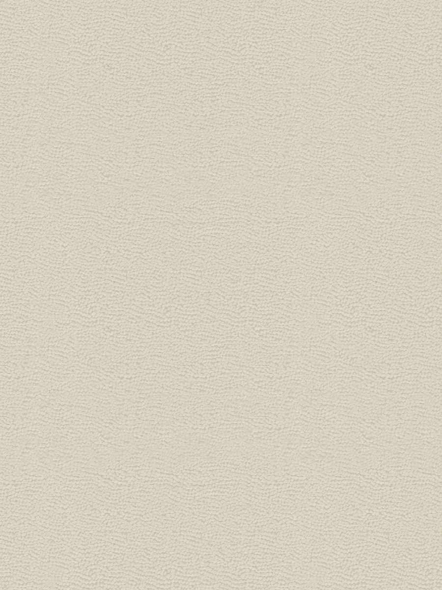 Kb Shar Pei-Sh – Snow