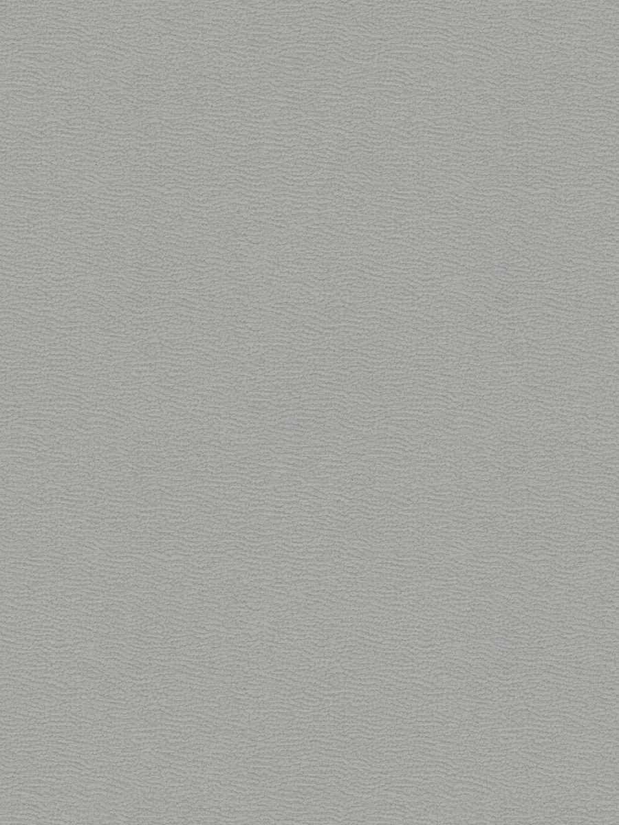 Kb Shar Pei-Sh – Ice