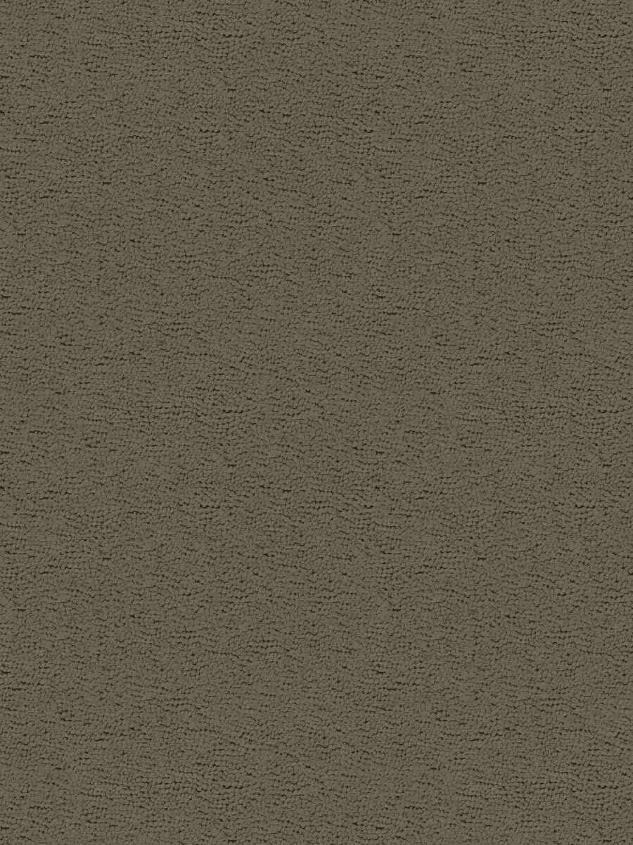 Kb Shar Pei-Sh – Steel