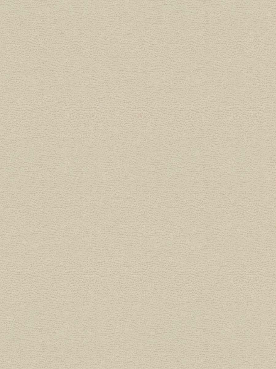 Kb Shar Pei-Sh – Magnolia