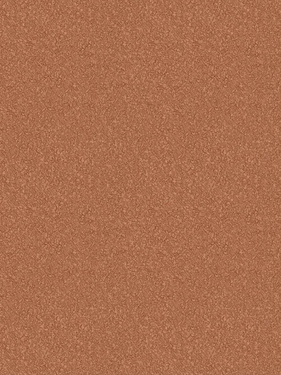 Atelier Boucle – Apricot