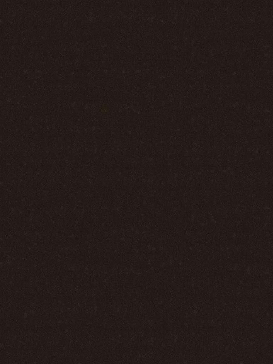 Foreign Affair – Bark