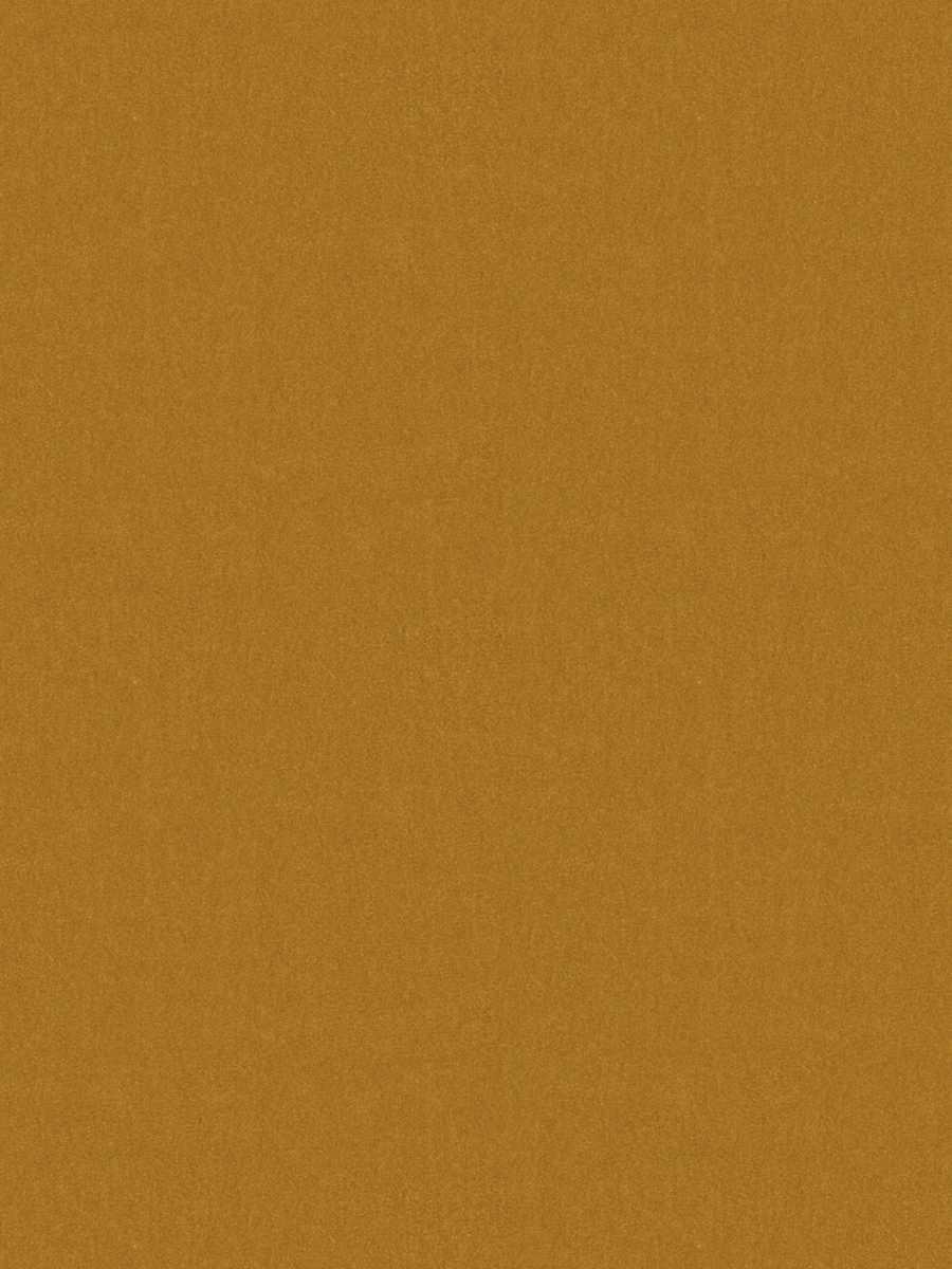 Foreign Affair – Golden Poppy