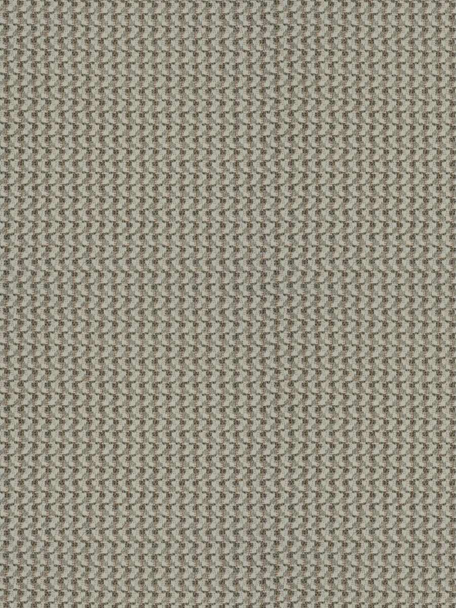 Momentum – Wheaten