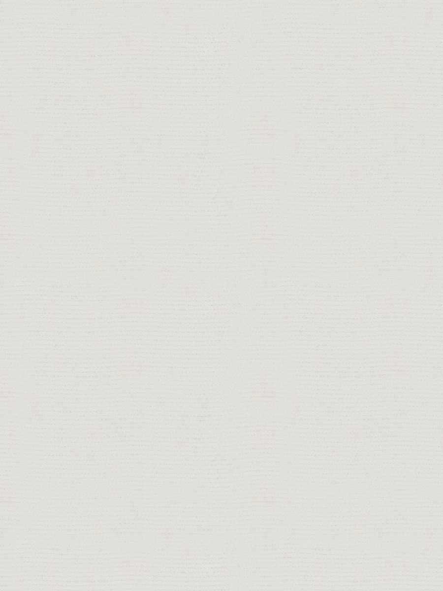 Tabei – Snow