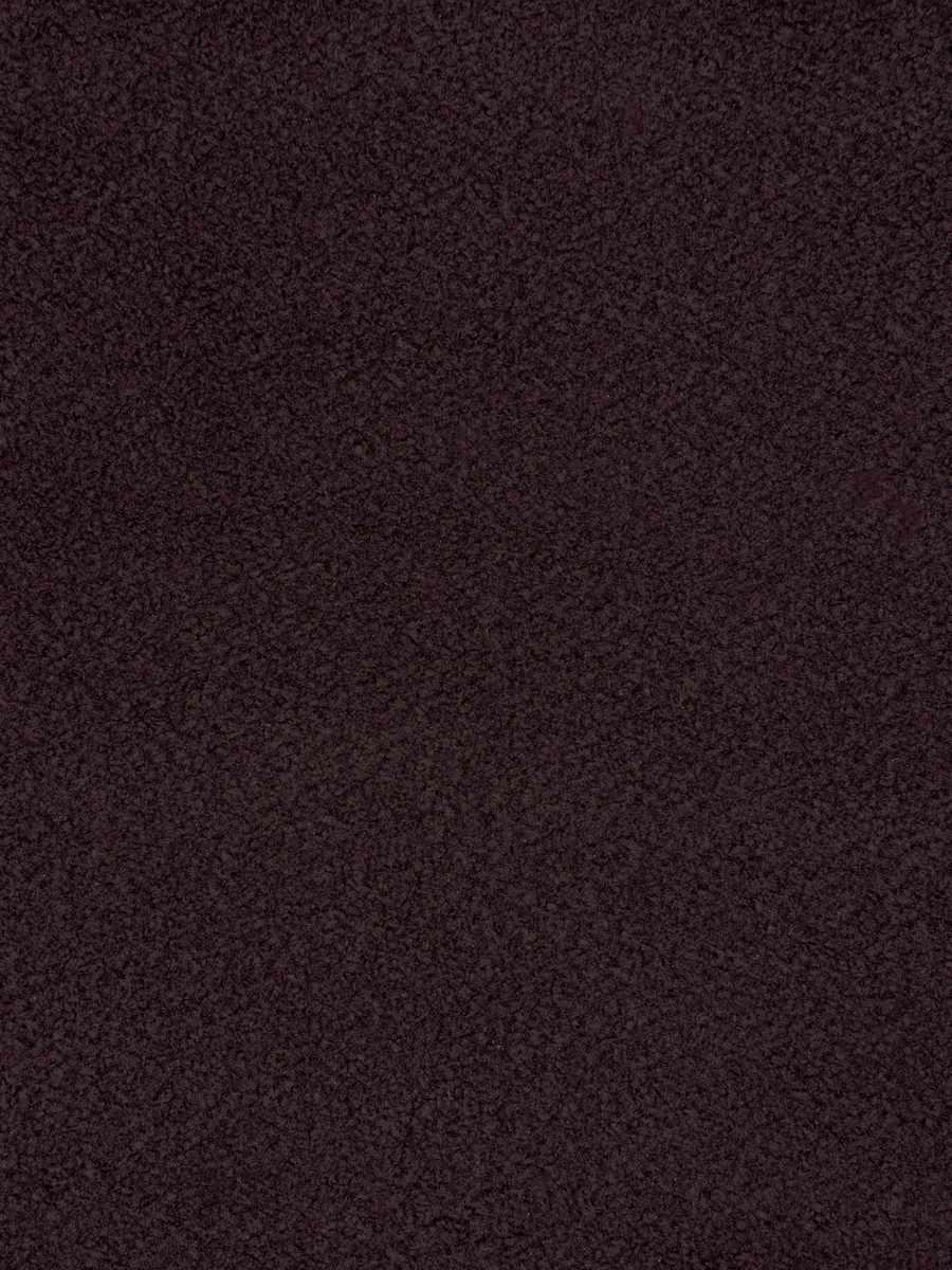 Carson – Acai