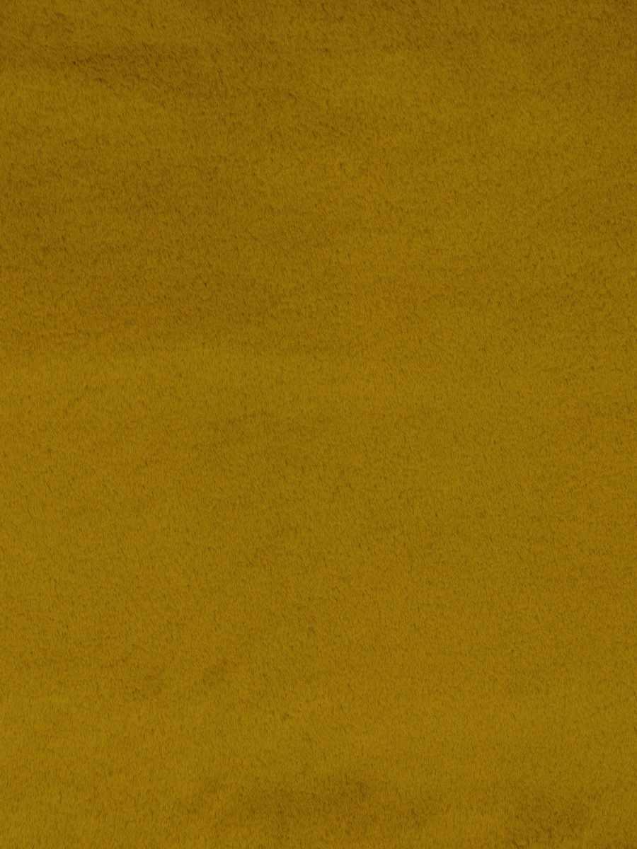 Dame Jane – Oriole
