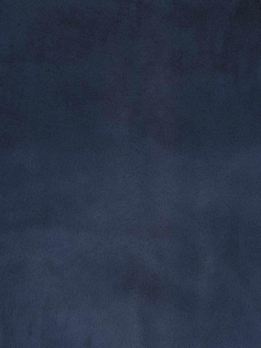 Dame Jane – Blue Bird