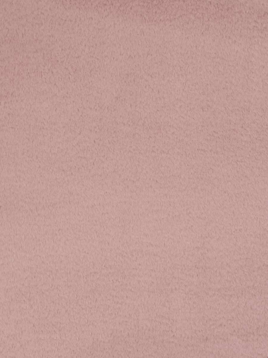 Dame Jane – Rosefinch