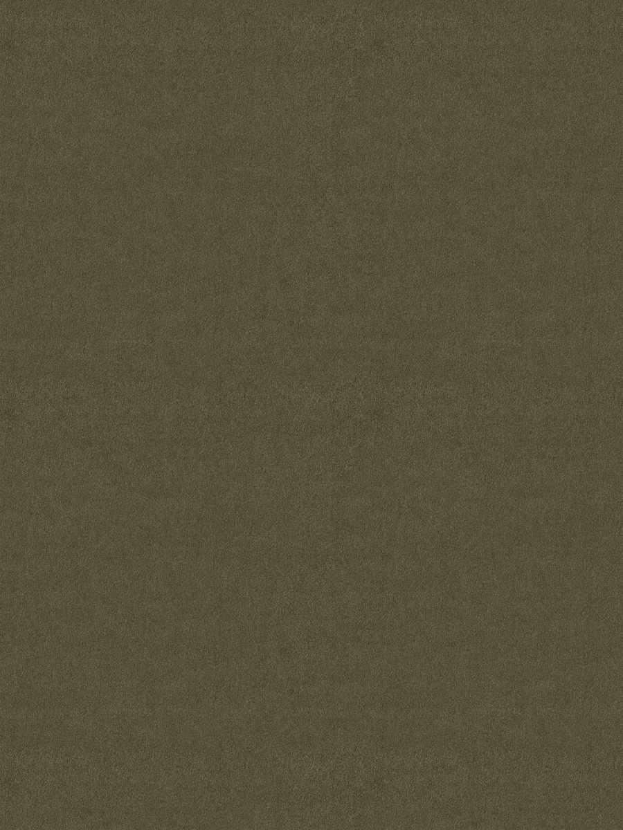 House Velour – Abalone