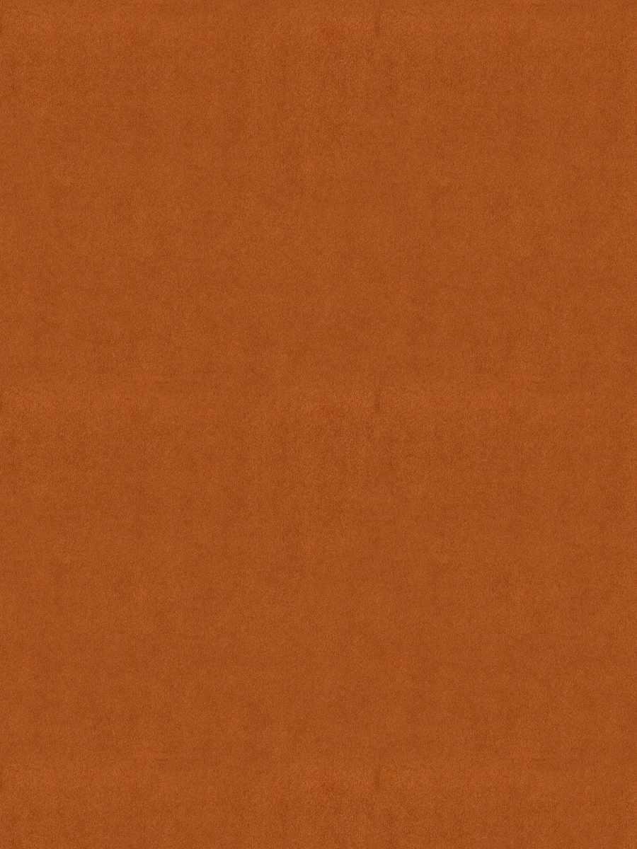 House Velour – Apricot