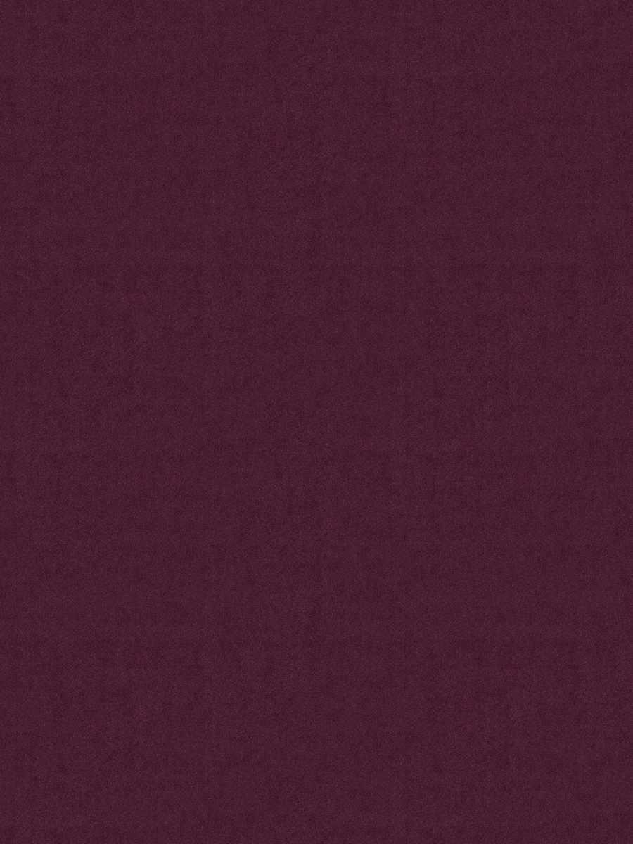 House Velour – African Violet