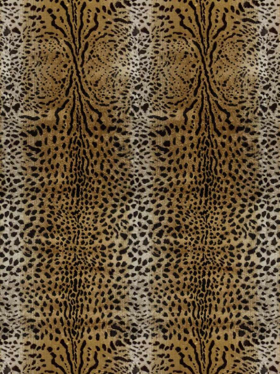 Bb Cheetah – Lynx