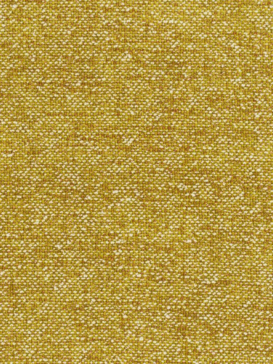 Adair Fleck – Turmeric