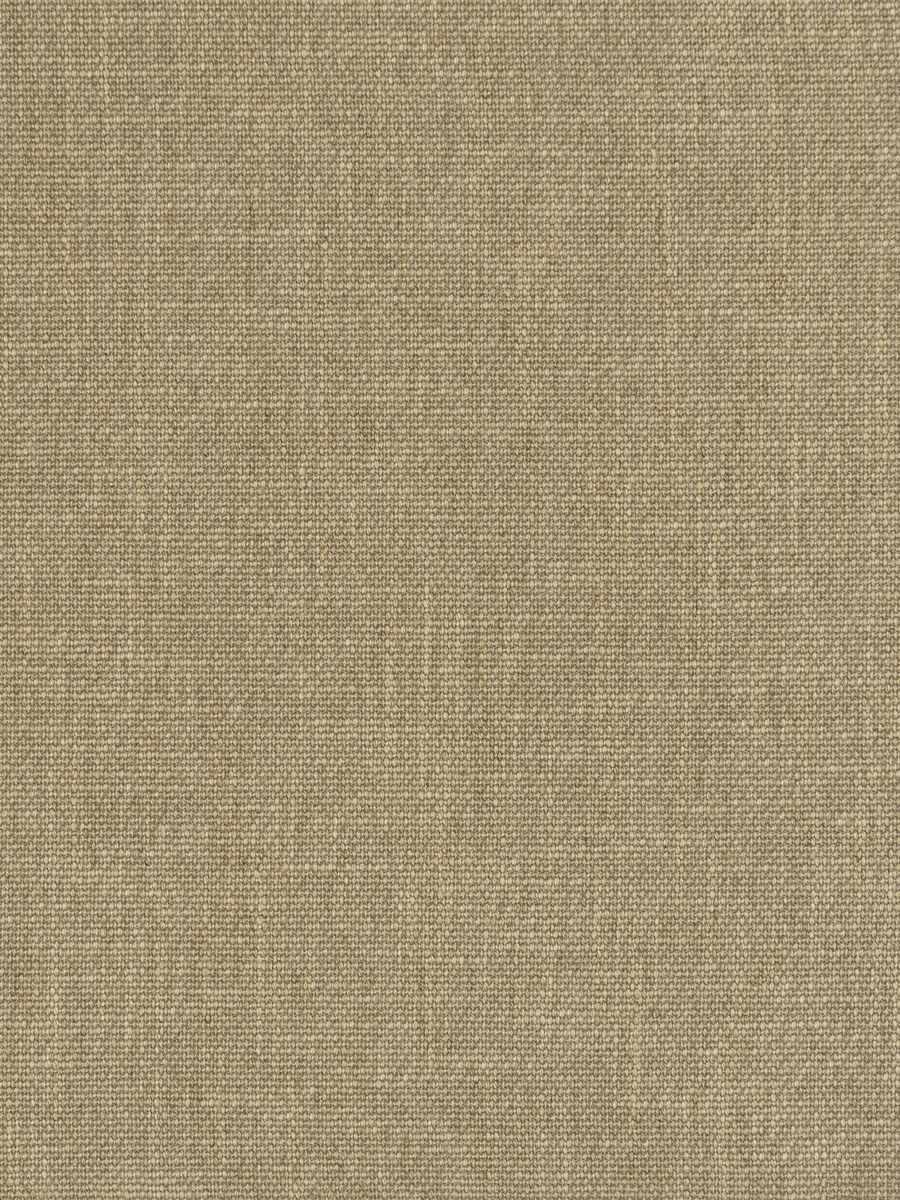 Spice Cotton – Parchment