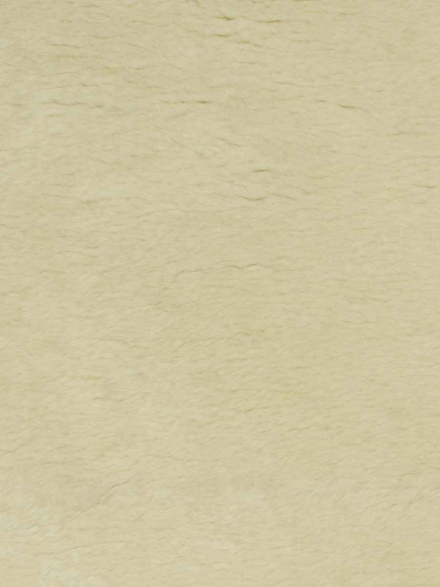 Pecora – Cream