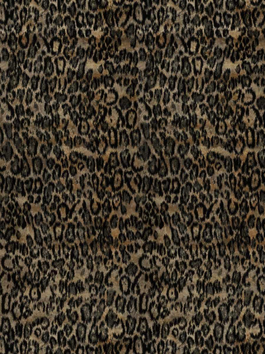 Leopardo – Natural