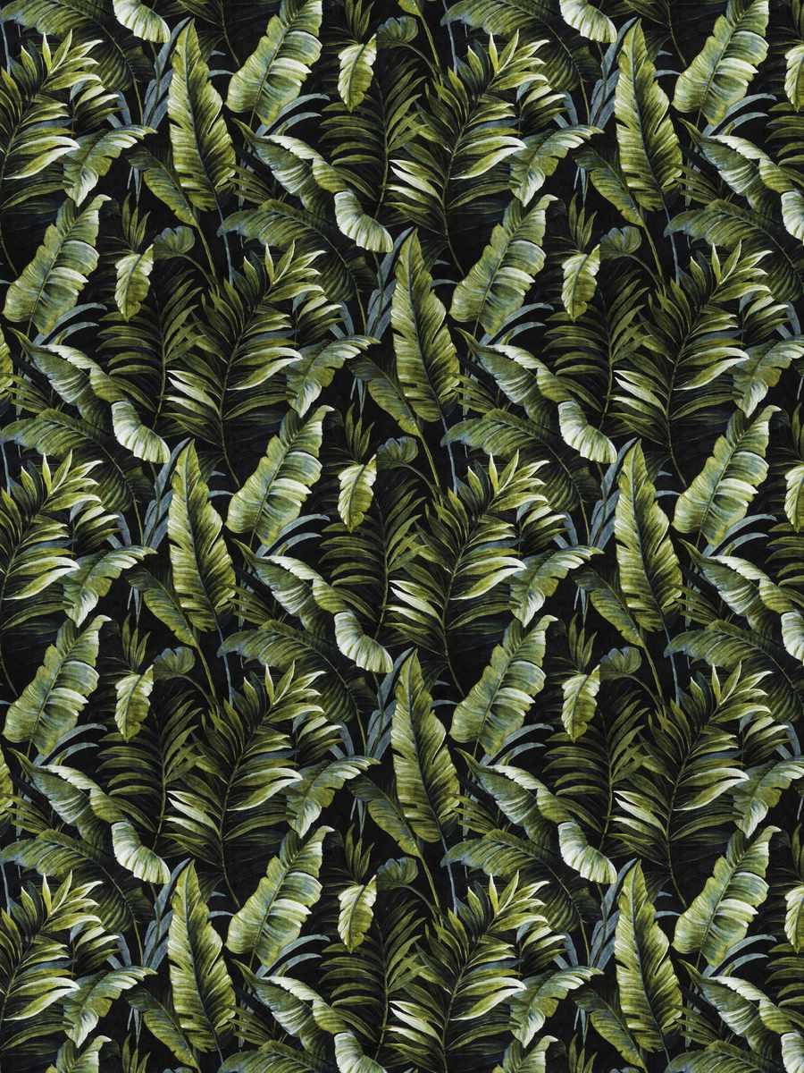 Floral Kingdom – Absynth Onyx