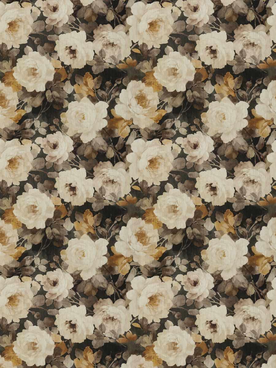 Efflorescence – Cocoa Amber