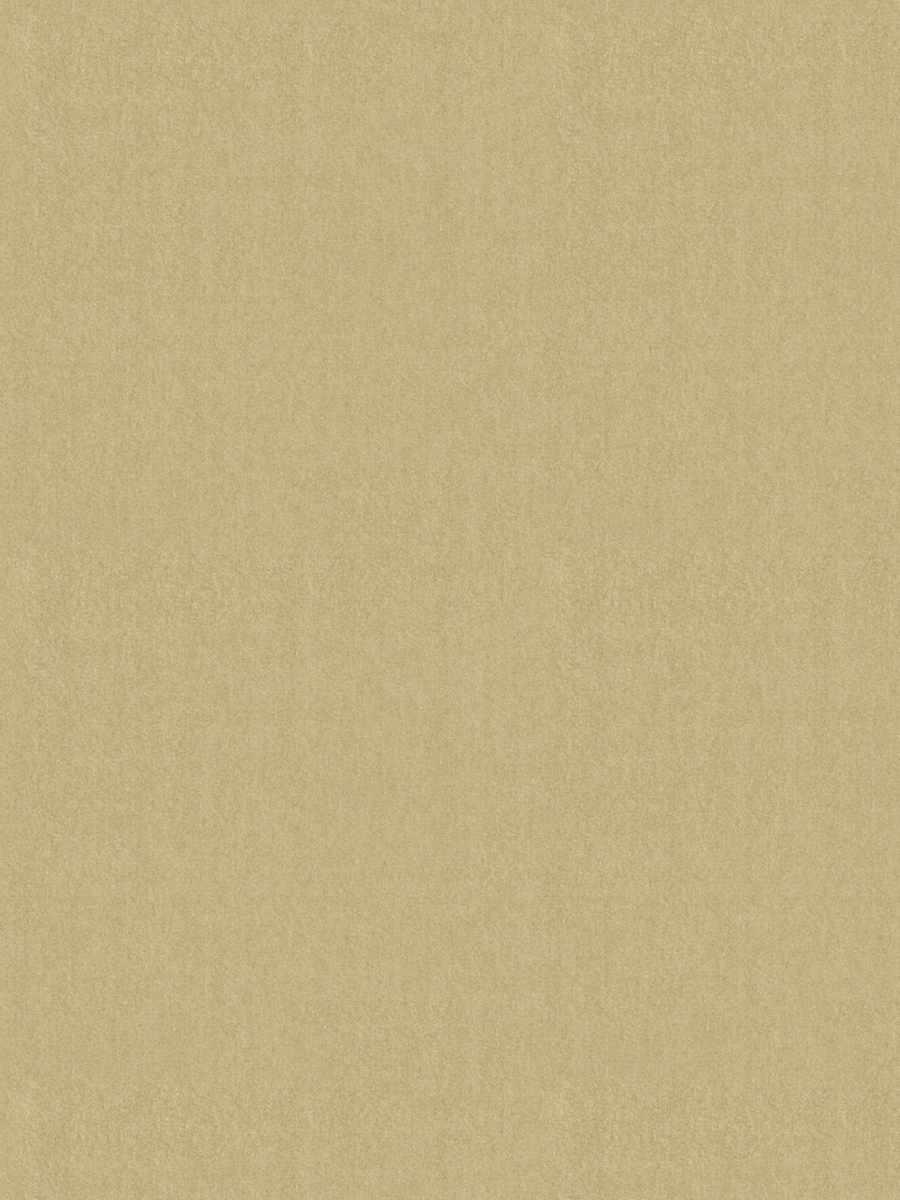 Foreign Affair – Biscuit