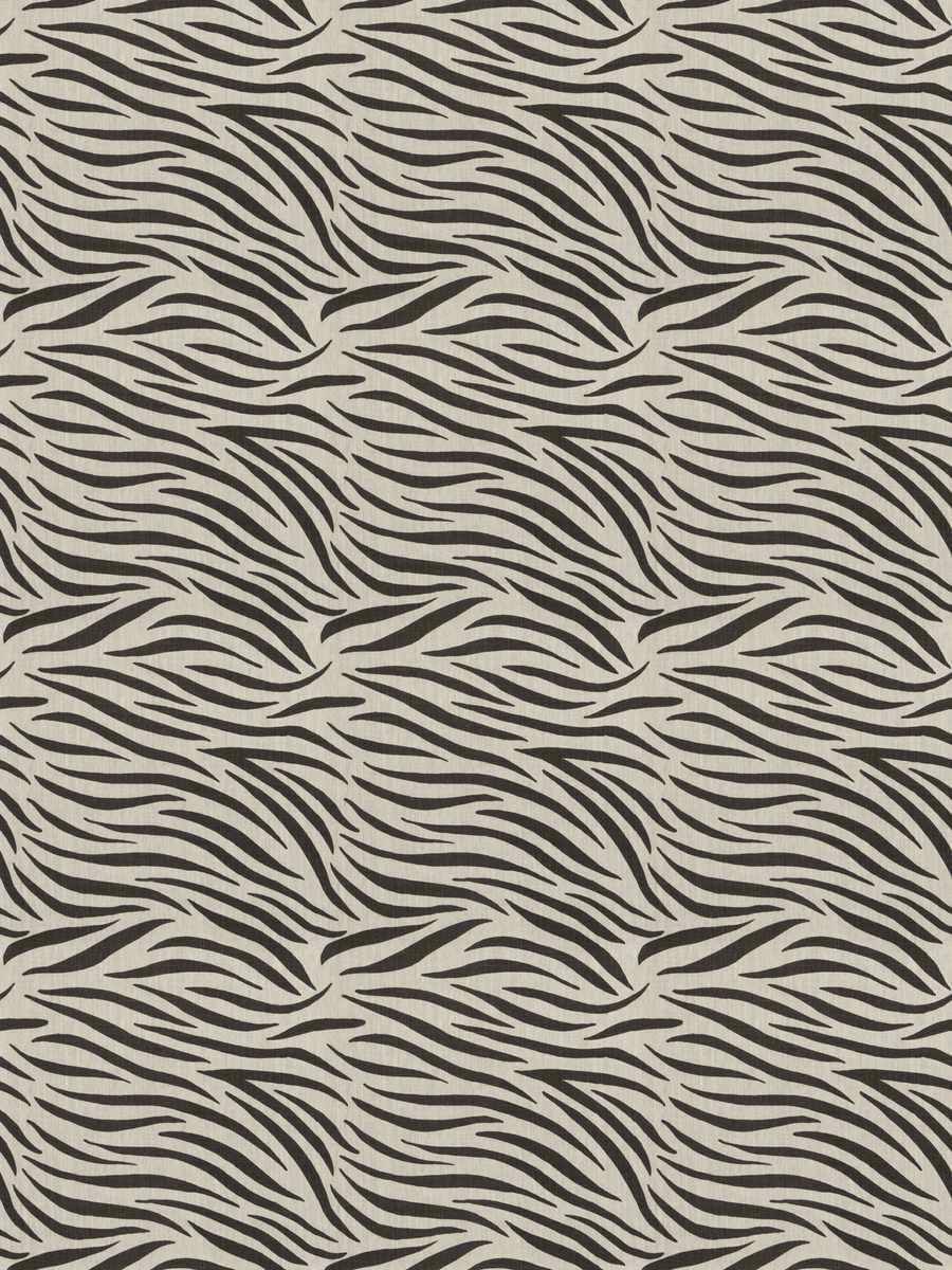 African Zebra – Chocolate