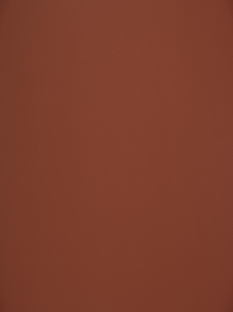 Silico – Cinnamon