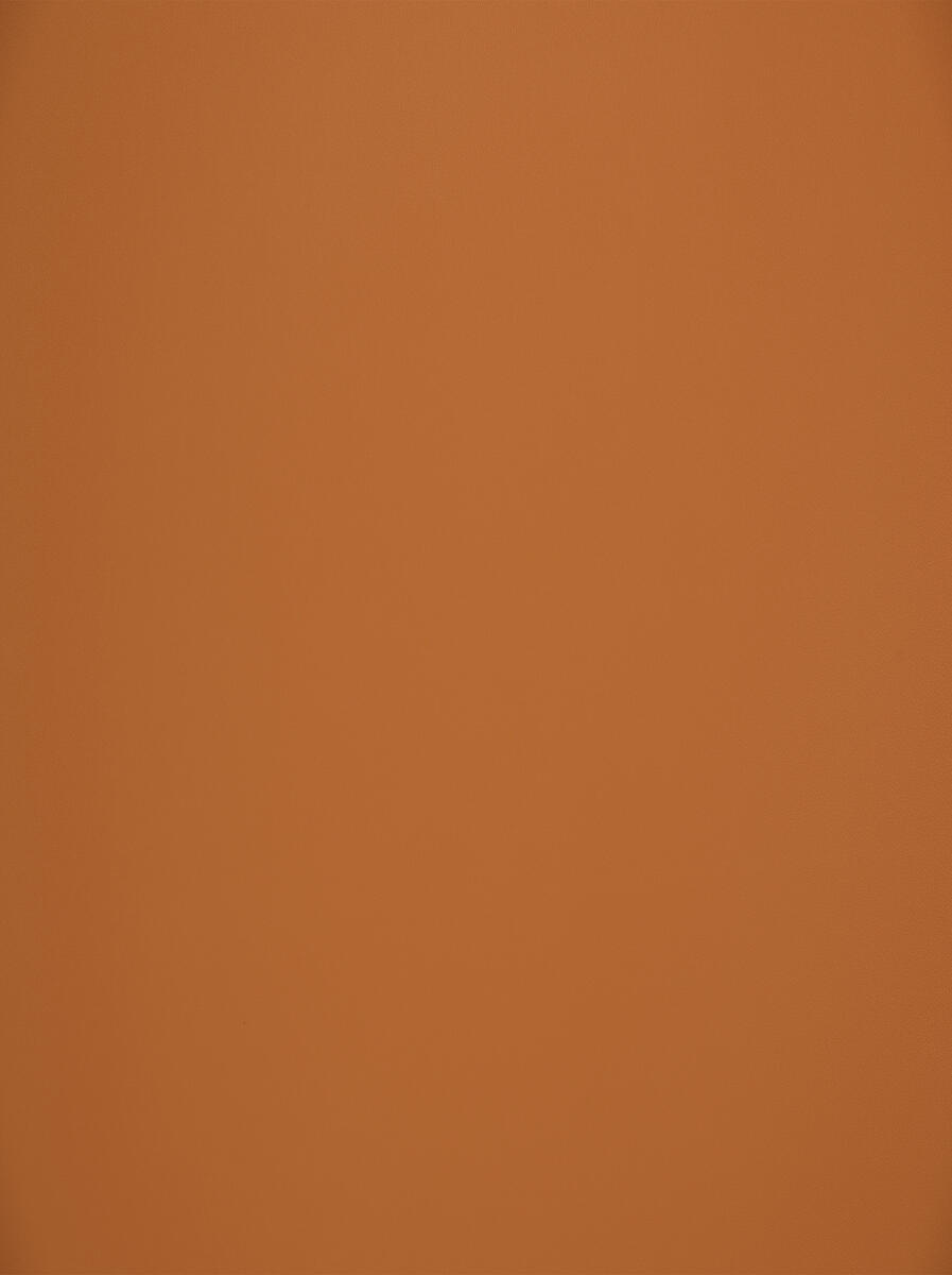 Silico – Mesa