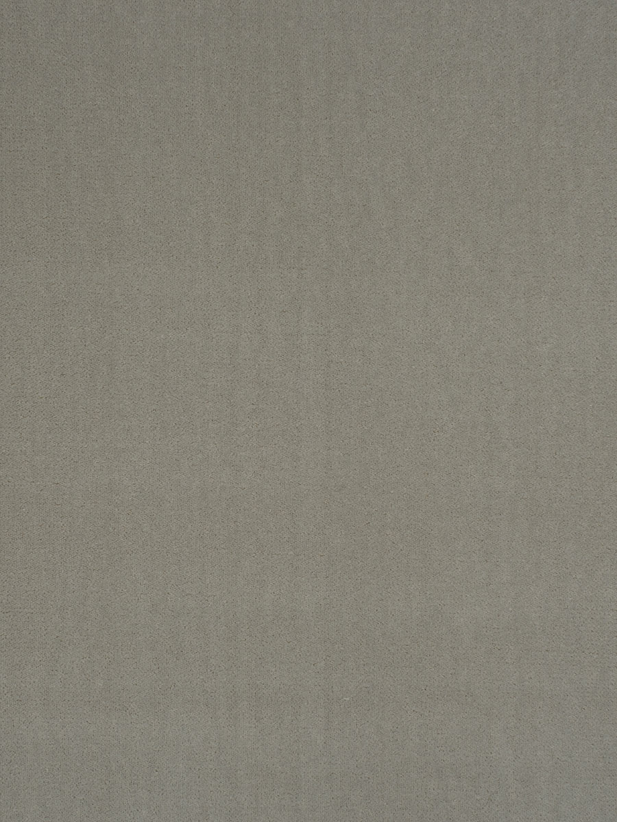 Fomo Velvet – Pewter