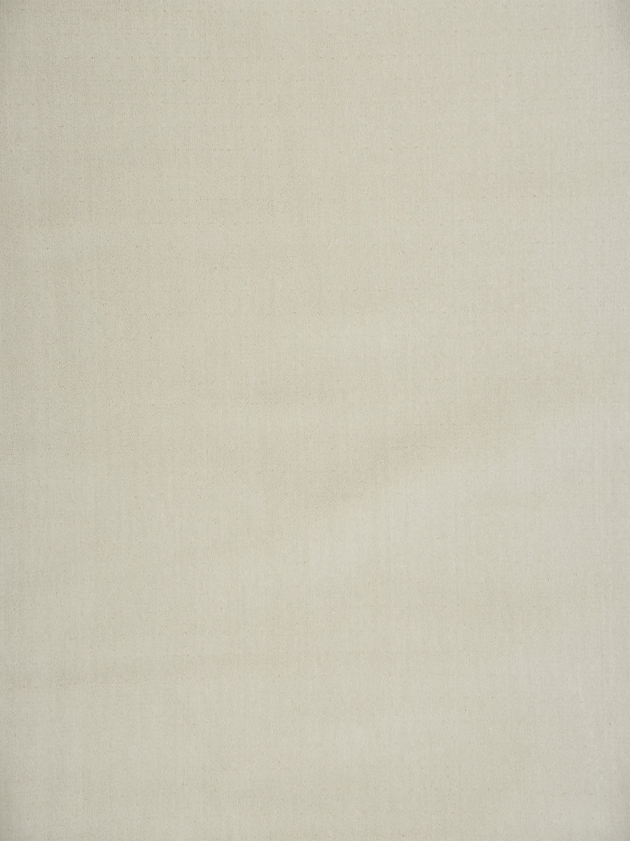 Fomo Velvet – Cotton